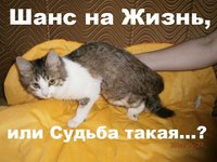 11.jpg (10.13 КБ) 2029 просмотров 11.jpg