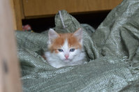 DSC_5282_новый размер.JPG