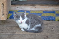 DSC_5284_новый размер.JPG