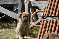 DSC_5288_новый размер.JPG