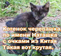 f350914b39d229c6ffd60fa9b9f8c279.jpg (354.6 КБ) 2427 просмотров f350914b39d229c6ffd60fa9b9f8c279.jpg