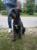 1f016f4cec95ce4ffeafed76e50a0b68.jpg
