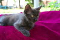IMG_6373.JPG