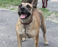 7d83f860dc12.jpg (12.34 КБ) 3317 просмотров 7d83f860dc12.jpg