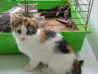 DSC01107.JPG