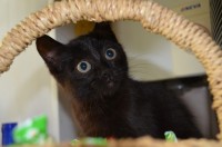 !12.jpeg (91.74 КБ) 2000 просмотров !12.jpeg