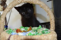 !13.jpeg (93.21 КБ) 2000 просмотров !13.jpeg