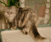 12.jpg (11.04 КБ) 2090 просмотров 12.jpg