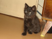 DSC01104.JPG