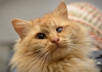 6.jpg (3.72 МБ) 2302 просмотра 6.jpg