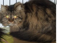 72.jpg (147.3 КБ) 1324 просмотра 72.jpg