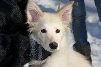 11.jpg (294.71 КБ) 3507 просмотров 11.jpg