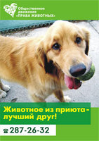 1267167533_plakat1.jpg