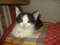DSC01315.jpg