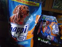 DSC01376.JPG