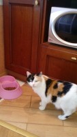 image2.jpeg