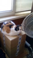 image3.jpeg