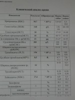V93DmYIXFzs.jpg