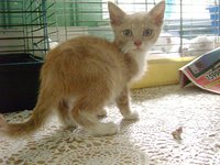 DSC01368.JPG