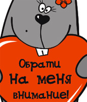95.jpg