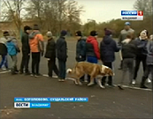 Снимок экрана (23).png