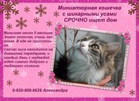 МИНИАТЮРНАЯ копиям.JPG