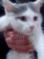 Сюзен до болезни.jpg