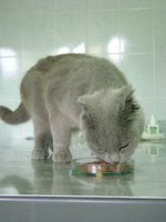 DSC01415.JPG