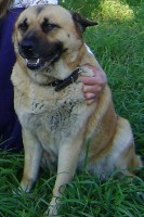 марта для обрезка2.jpg