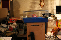 IMG_1253.jpg