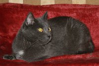 f4e2962d02db.jpg