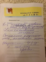 IMG_2896.jpg
