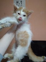 Без названия (3).jpg