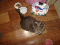 DSC08112.JPG