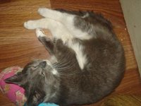 DSC08113.JPG