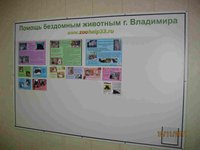 СТЕНД.jpg