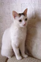 DSC00391.JPG