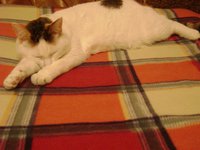 DSC01488.JPG