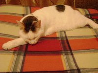 DSC01485.JPG