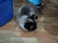 DSC01181.JPG