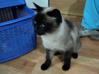 DSC01183.JPG