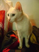 DSC01278.JPG