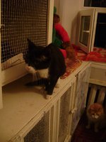 DSC01636.JPG