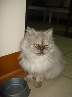 Манюня.jpg