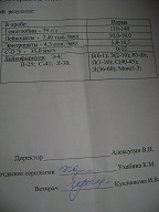 DSC01657.JPG
