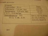 DSC01681.JPG