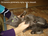 18.jpg