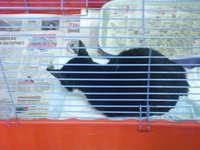 DSC01710.JPG