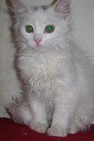 DSC00875.JPG