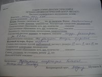 DSC01968.JPG